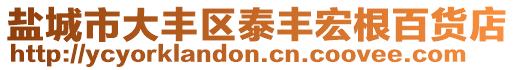 鹽城市大豐區泰豐宏根百貨店