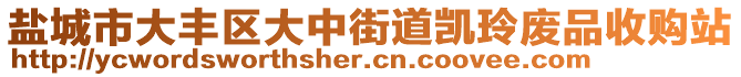 鹽城市大豐區(qū)大中街道凱玲廢品收購(gòu)站