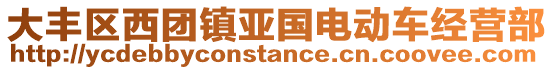 大豐區西團鎮亞國電動車經營部