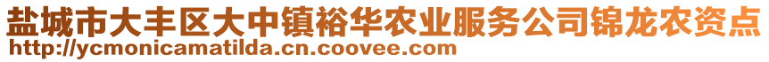 鹽城市大豐區(qū)大中鎮(zhèn)裕華農(nóng)業(yè)服務(wù)公司錦龍農(nóng)資點