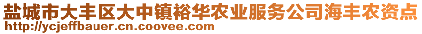 鹽城市大豐區(qū)大中鎮(zhèn)裕華農(nóng)業(yè)服務(wù)公司海豐農(nóng)資點(diǎn)