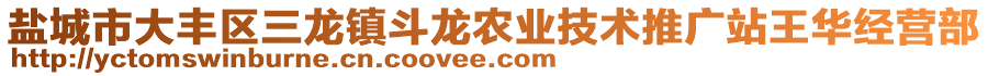 鹽城市大豐區(qū)三龍鎮(zhèn)斗龍農(nóng)業(yè)技術(shù)推廣站王華經(jīng)營部