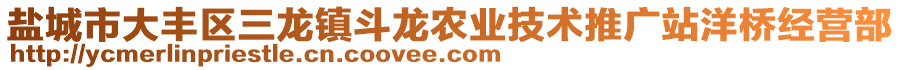 鹽城市大豐區(qū)三龍鎮(zhèn)斗龍農(nóng)業(yè)技術(shù)推廣站洋橋經(jīng)營部