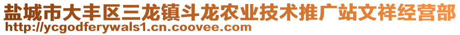 鹽城市大豐區(qū)三龍鎮(zhèn)斗龍農(nóng)業(yè)技術(shù)推廣站文祥經(jīng)營部