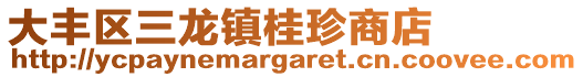 大豐區三龍鎮桂珍商店