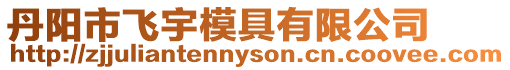 丹陽市飛宇模具有限公司