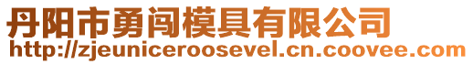 丹陽(yáng)市勇闖模具有限公司