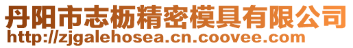 丹陽市志櫪精密模具有限公司