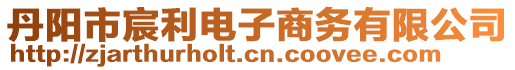 丹陽市宸利電子商務(wù)有限公司