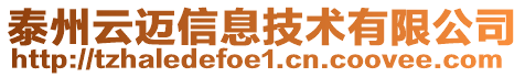 泰州云邁信息技術(shù)有限公司