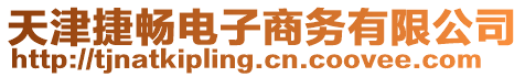 天津捷暢電子商務有限公司