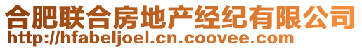 合肥聯(lián)合房地產(chǎn)經(jīng)紀(jì)有限公司