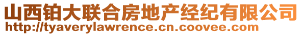 山西铂大联合房地产经纪有限公司