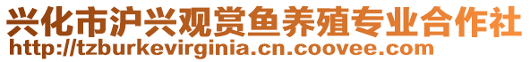 興化市滬興觀賞魚養(yǎng)殖專業(yè)合作社