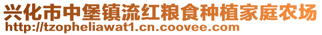 興化市中堡鎮(zhèn)流紅糧食種植家庭農場