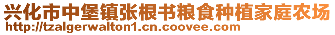 興化市中堡鎮(zhèn)張根書糧食種植家庭農(nóng)場