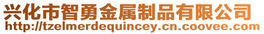 興化市智勇金屬制品有限公司