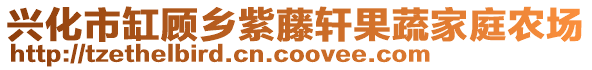 興化市缸顧?quán)l(xiāng)紫藤軒果蔬家庭農(nóng)場(chǎng)