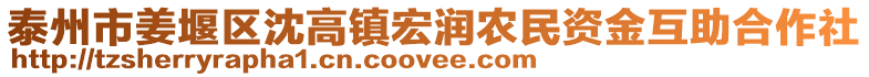 泰州市姜堰區(qū)沈高鎮(zhèn)宏潤農(nóng)民資金互助合作社