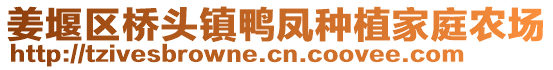 姜堰區橋頭鎮鴨鳳種植家庭農場