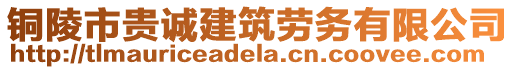 銅陵市貴誠建筑勞務(wù)有限公司