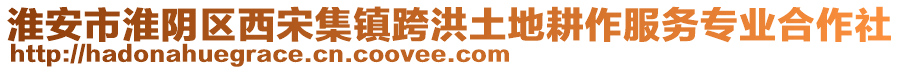 淮安市淮陰區(qū)西宋集鎮(zhèn)跨洪土地耕作服務(wù)專業(yè)合作社