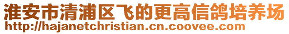 淮安市清浦區(qū)飛的更高信鴿培養(yǎng)場(chǎng)