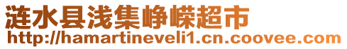 漣水縣淺集崢嶸超市