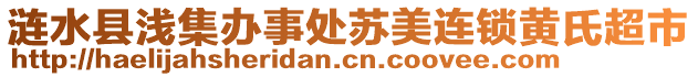 漣水縣淺集辦事處蘇美連鎖黃氏超市