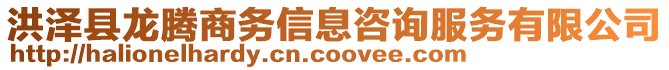 洪澤縣龍騰商務(wù)信息咨詢(xún)服務(wù)有限公司