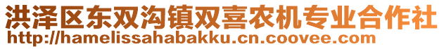 洪澤區(qū)東雙溝鎮(zhèn)雙喜農(nóng)機專業(yè)合作社