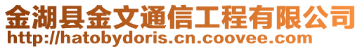 金湖縣金文通信工程有限公司