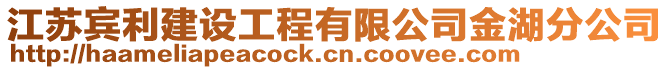 江蘇賓利建設(shè)工程有限公司金湖分公司