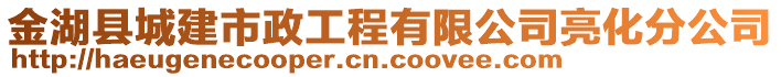 金湖縣城建市政工程有限公司亮化分公司