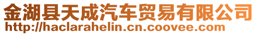 金湖縣天成汽車貿(mào)易有限公司