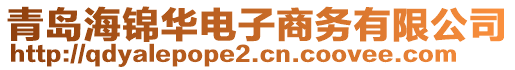 青島海錦華電子商務(wù)有限公司