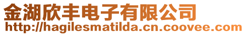 金湖欣豐電子有限公司