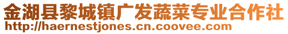 金湖县黎城镇广发蔬菜专业合作社