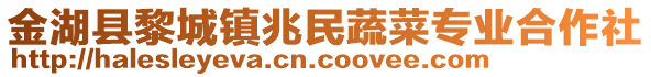 金湖县黎城镇兆民蔬菜专业合作社