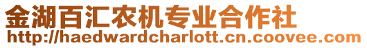 金湖百匯農(nóng)機專業(yè)合作社