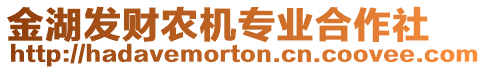 金湖發(fā)財(cái)農(nóng)機(jī)專業(yè)合作社