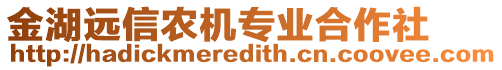 金湖遠信農(nóng)機專業(yè)合作社