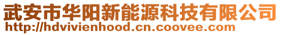 武安市華陽新能源科技有限公司