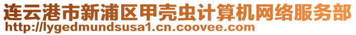 連云港市新浦區(qū)甲殼蟲(chóng)計(jì)算機(jī)網(wǎng)絡(luò)服務(wù)部