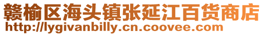 贛榆區(qū)海頭鎮(zhèn)張延江百貨商店
