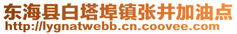 東海縣白塔埠鎮(zhèn)張井加油點(diǎn)