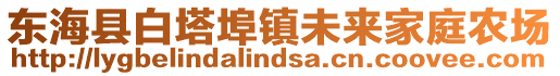 東海縣白塔埠鎮(zhèn)未來家庭農(nóng)場