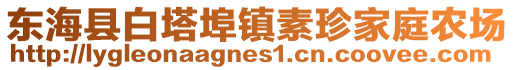 東海縣白塔埠鎮素珍家庭農場
