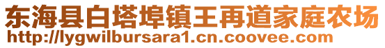 東海縣白塔埠鎮王再道家庭農場