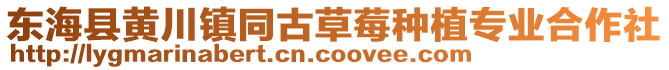 東海縣黃川鎮同古草莓種植專業合作社